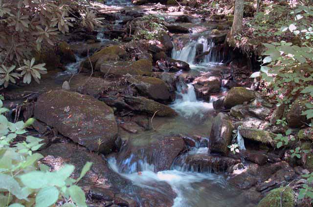 a running stream in maggie valley